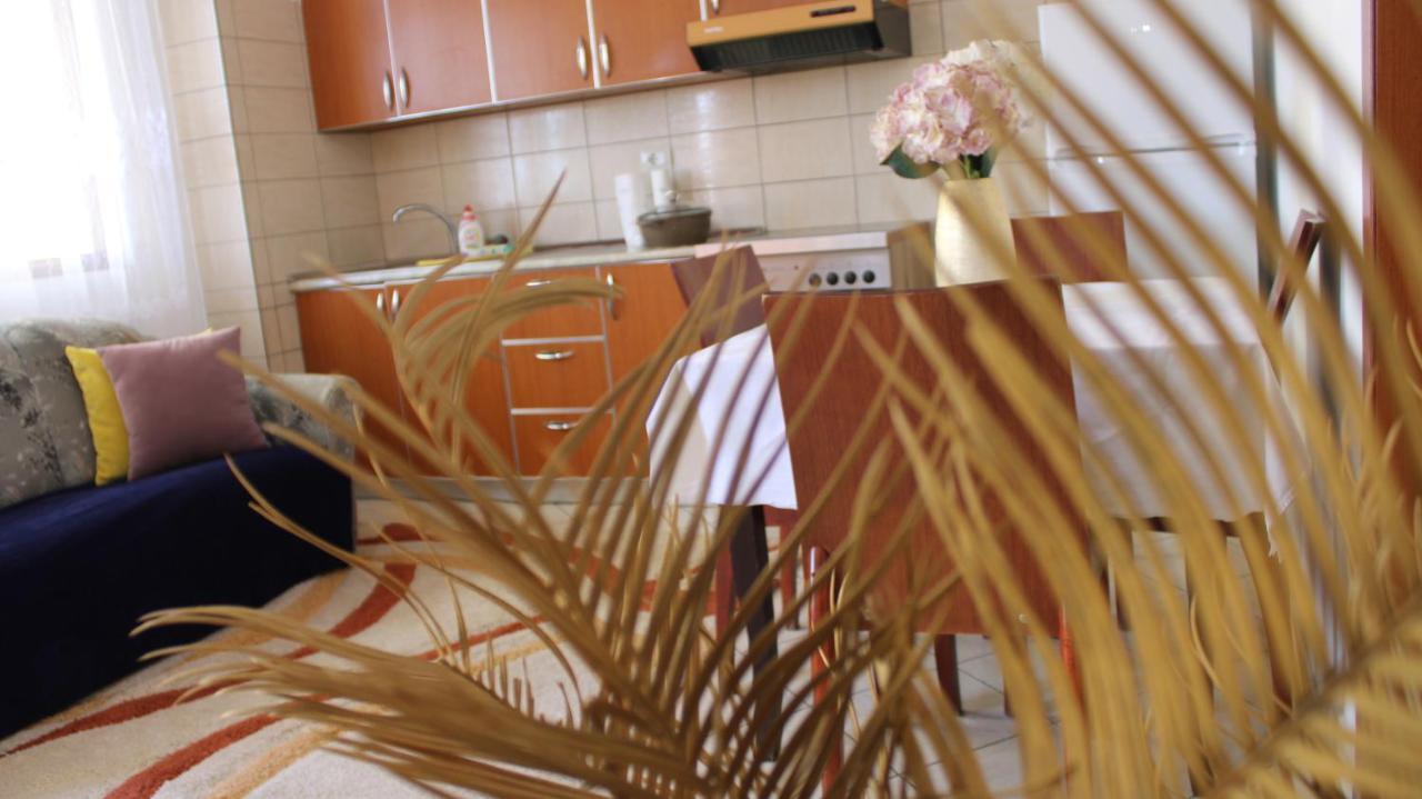 Bledi'S Cozy Apartment In New Blvd 地拉那 外观 照片